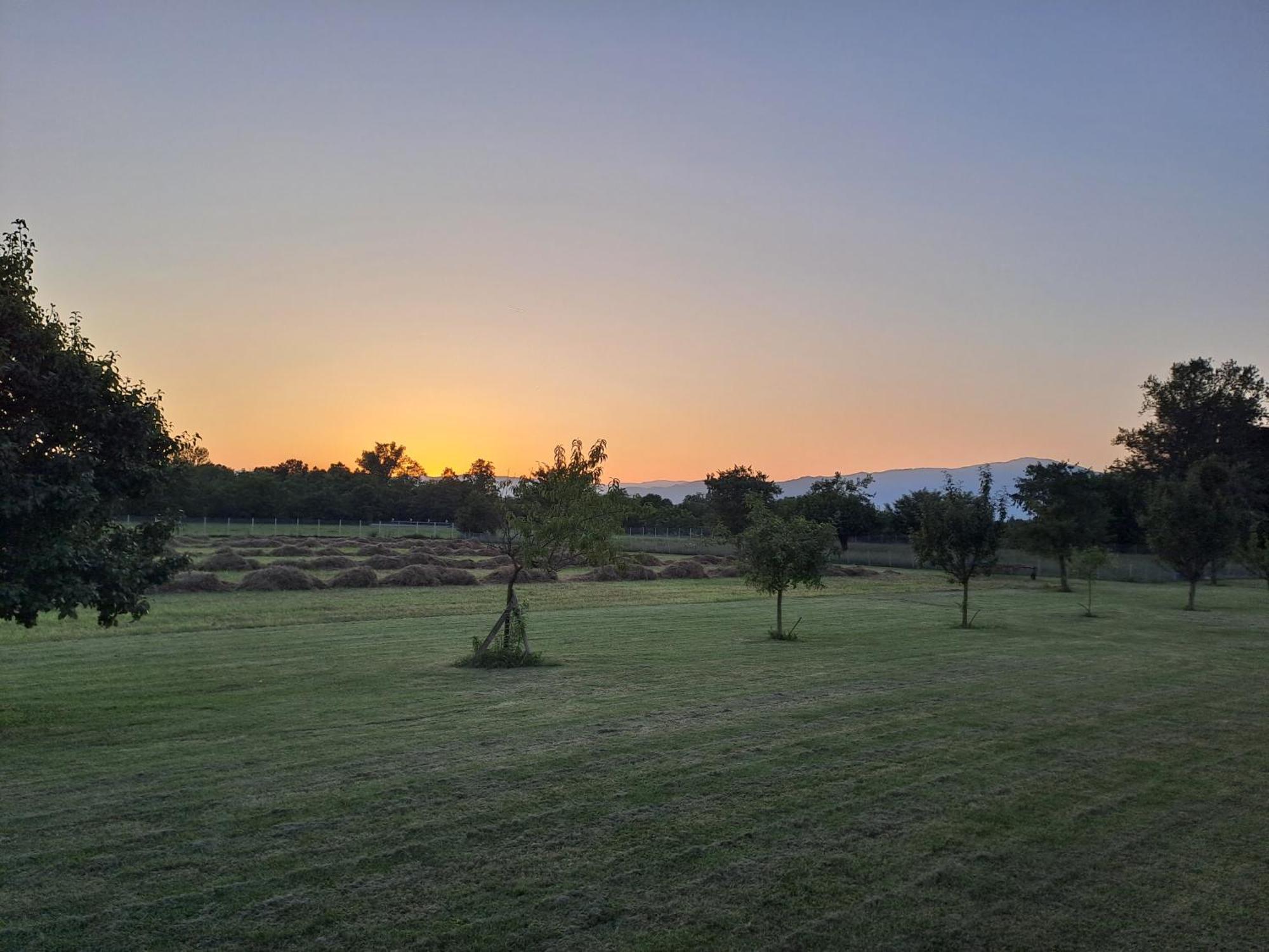 Azienda Agrituristica Ai Prai カステッロ・ディ・ゴーデゴ エクステリア 写真