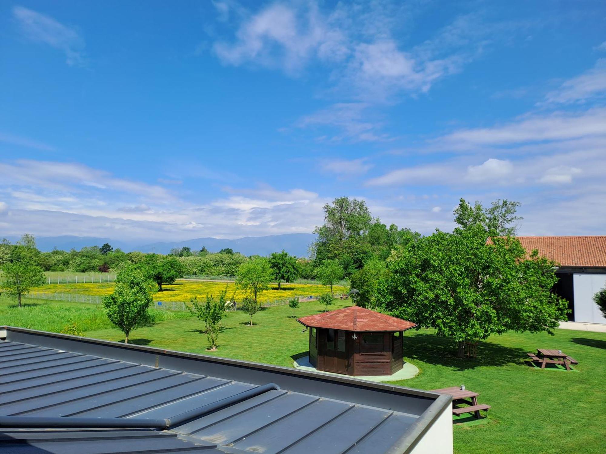 Azienda Agrituristica Ai Prai カステッロ・ディ・ゴーデゴ エクステリア 写真